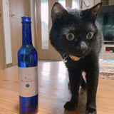 長崎のイナック(田舎スナック)「すなっく椿」