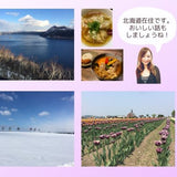 癒しとリフレッシュの叶う場所「スナックあざらし」