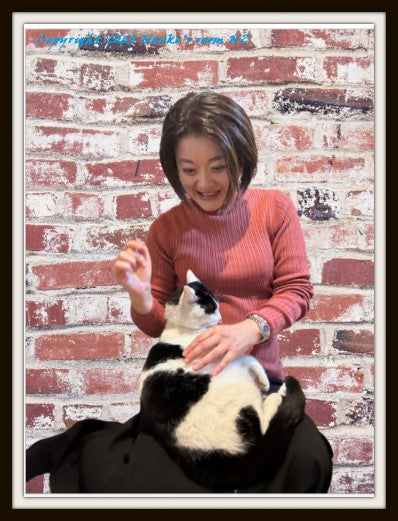 息抜きしませんか？「なおこの部屋」